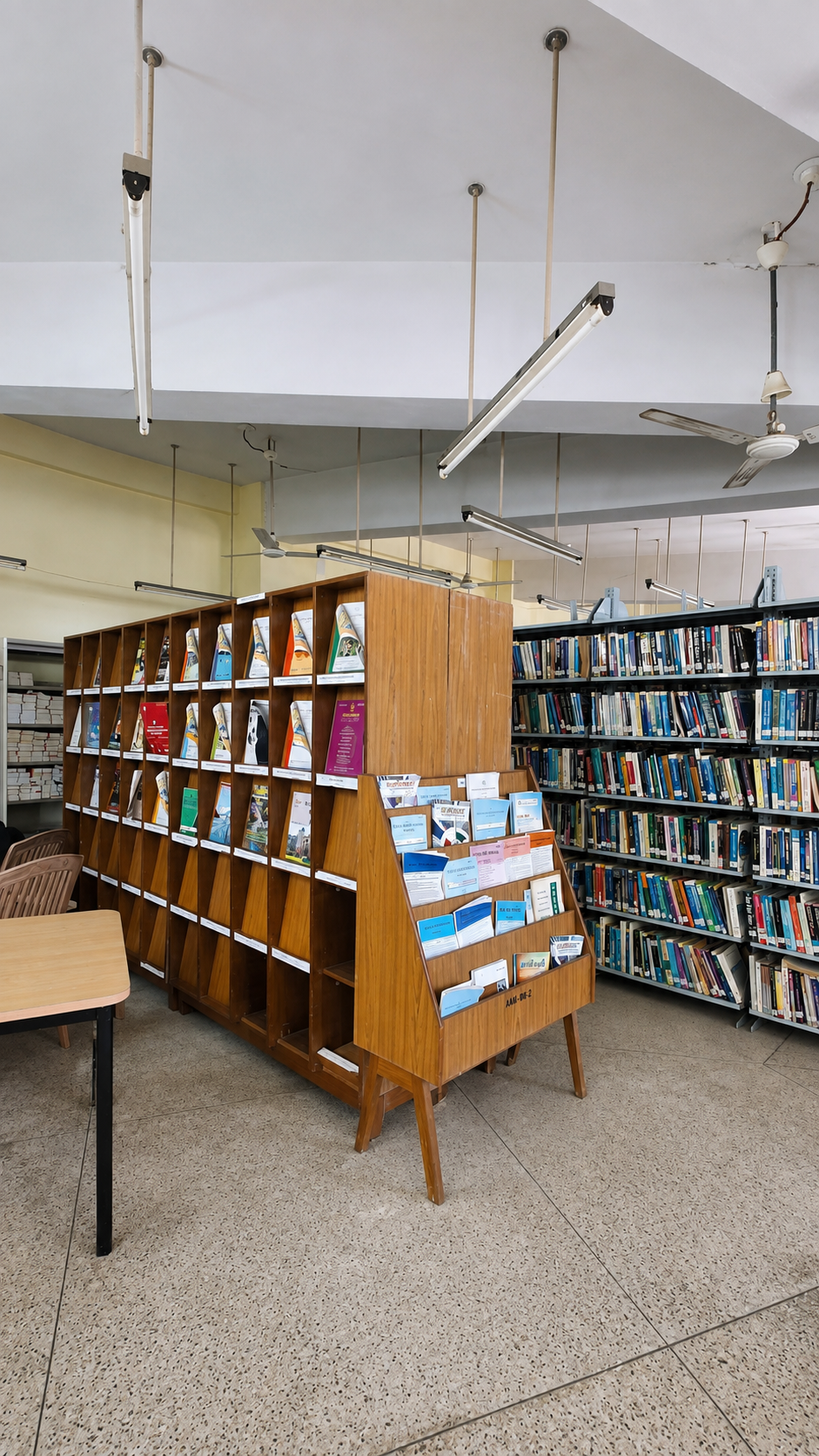 Periodical Section