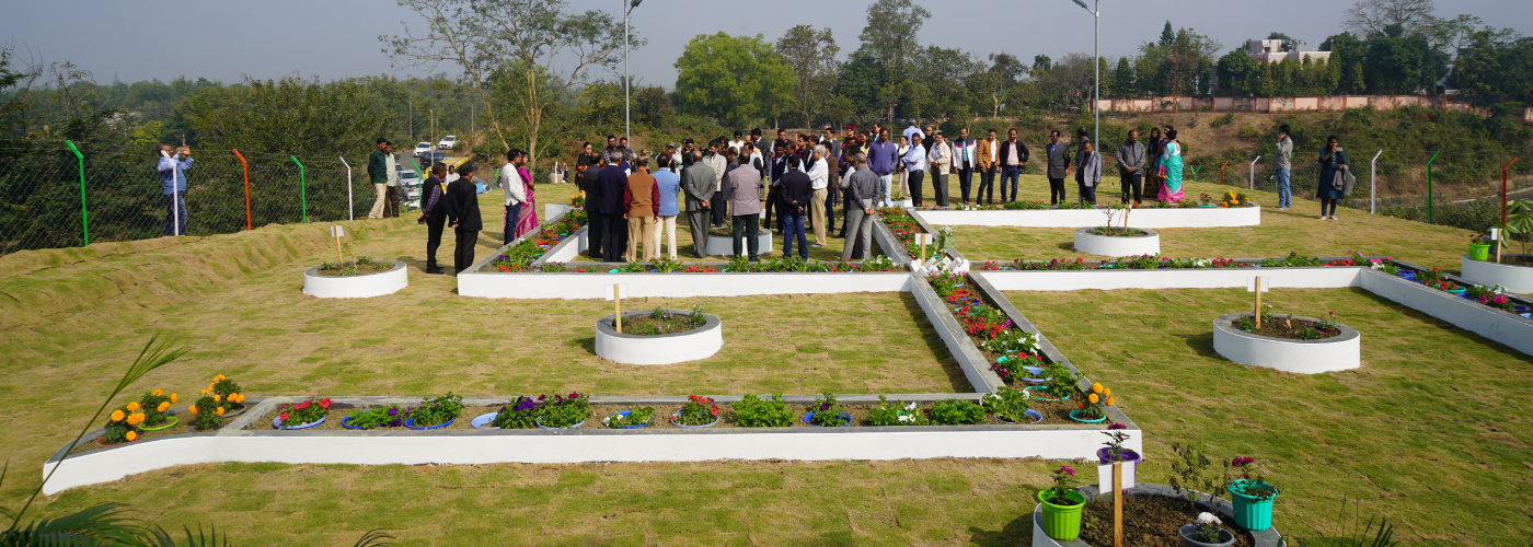 Navgraha Vatika